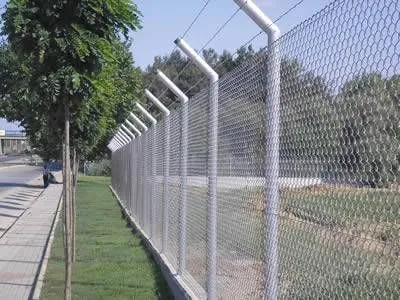 صورة المقال