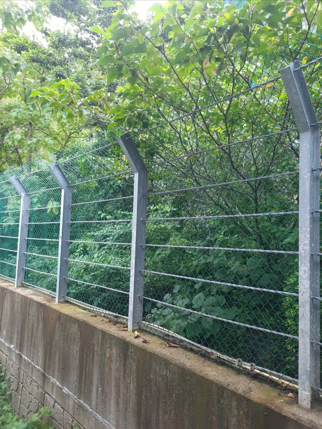 انواع الشبوك الزراعية والصناعية بالرياض تعرف على الفرق